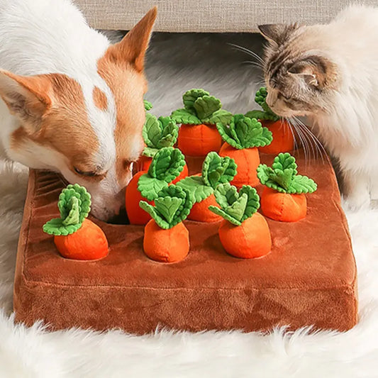 Plush Pet Chew Carrot Toy For Dogs And Cats