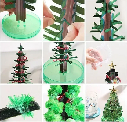 Magic Christmas Tree Kit