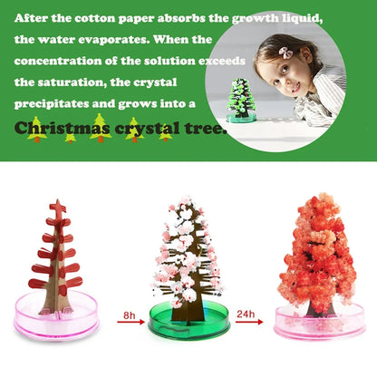 Magic Crystal Christmas Tree Kit