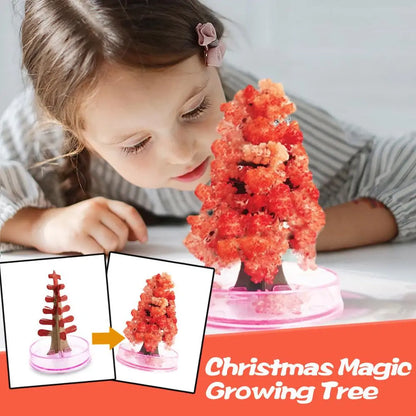 Magic Crystal Christmas Tree Kit